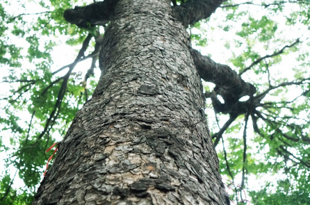 “Đúng & Sai”