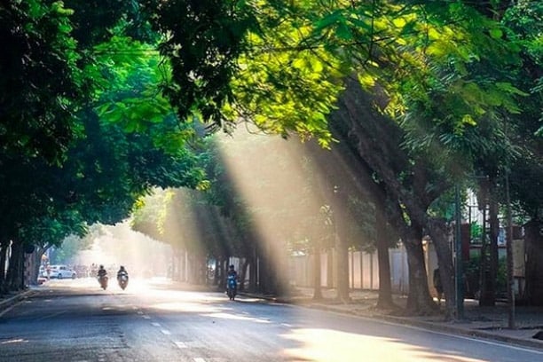 Hà Nội: Mùa hè bình yên đang về (Ảnh)