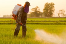 Monsanto thua kiện: 60% thuốc diệt cỏ ở Việt Nam chứa chất gây ung thư