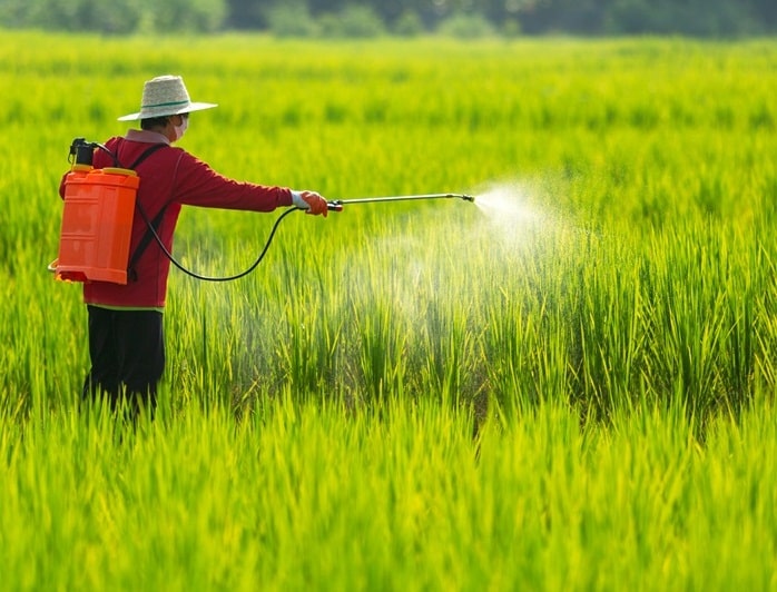 Thuốc diệt cỏ gây ung thư: Vẫn được buôn bán, sử dụng sau 1 năm cấm