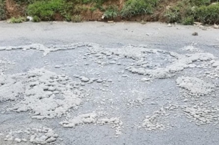 Tương lai nào cho chúng ta?
