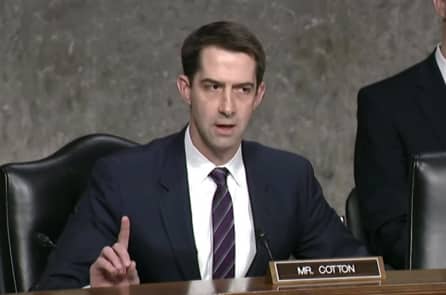 Video: Thượng nghị sĩ Tom Cotton cảnh báo nước Mỹ về virus corona TQ